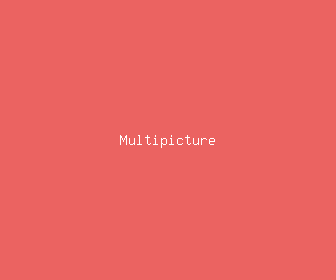 multipicture meaning, definitions, synonyms