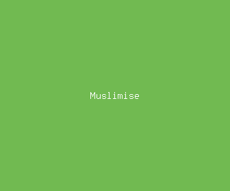 muslimise meaning, definitions, synonyms