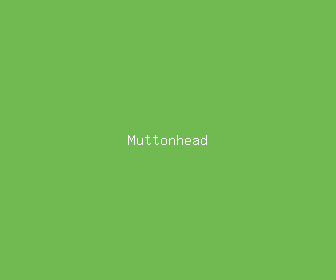 muttonhead meaning, definitions, synonyms