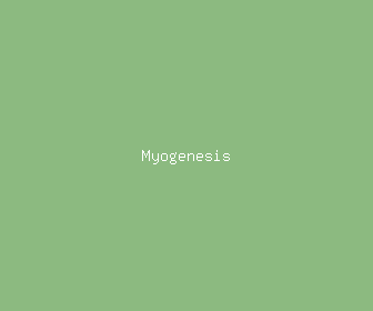 myogenesis meaning, definitions, synonyms