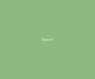 nasef meaning, definitions, synonyms