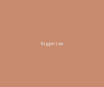 niggerism meaning, definitions, synonyms