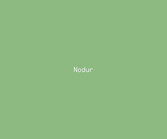 nodur meaning, definitions, synonyms