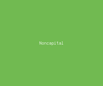 noncapital meaning, definitions, synonyms