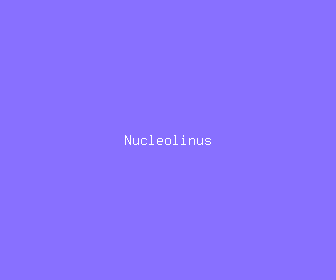 nucleolinus meaning, definitions, synonyms
