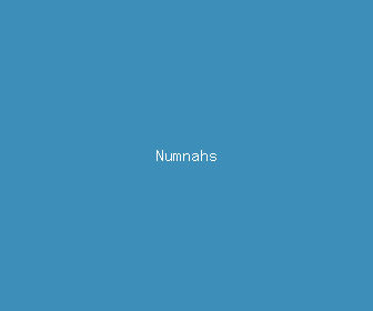 numnahs meaning, definitions, synonyms