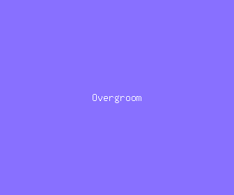 overgroom meaning, definitions, synonyms