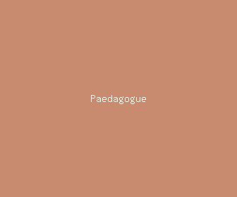 paedagogue meaning, definitions, synonyms