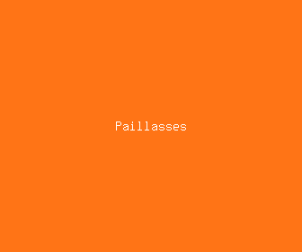 paillasses meaning, definitions, synonyms