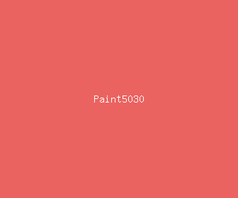 paint5030 meaning, definitions, synonyms