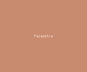 palaestra meaning, definitions, synonyms