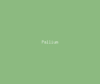 pallium meaning, definitions, synonyms