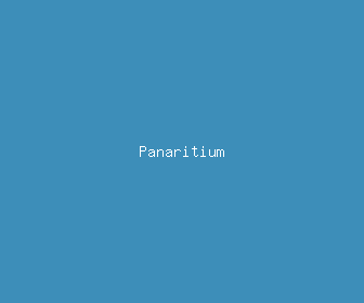 panaritium meaning, definitions, synonyms