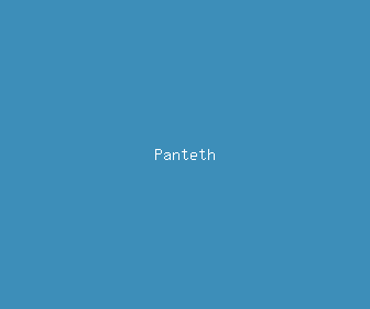 panteth meaning, definitions, synonyms