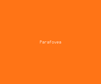 parafovea meaning, definitions, synonyms