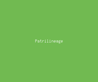 patrilineage meaning, definitions, synonyms