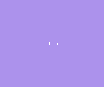 pectinati meaning, definitions, synonyms