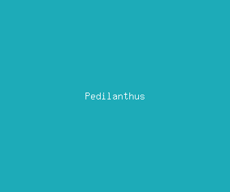 pedilanthus meaning, definitions, synonyms