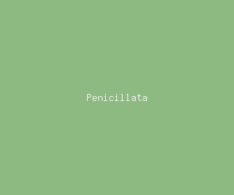 penicillata meaning, definitions, synonyms