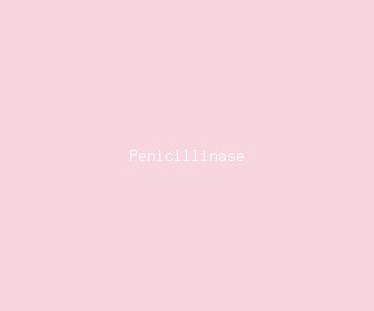 penicillinase meaning, definitions, synonyms