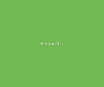 perianths meaning, definitions, synonyms
