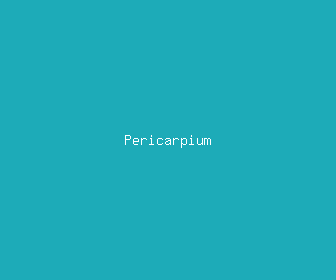 pericarpium meaning, definitions, synonyms