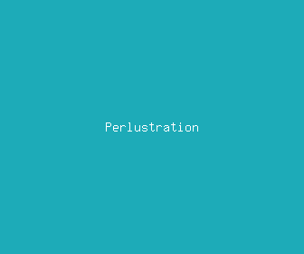 perlustration meaning, definitions, synonyms