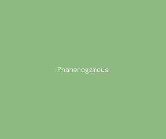 phanerogamous meaning, definitions, synonyms