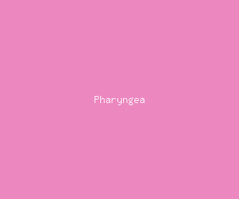 pharyngea meaning, definitions, synonyms