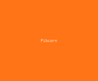 pibcorn meaning, definitions, synonyms