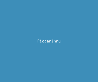 piccaninny meaning, definitions, synonyms