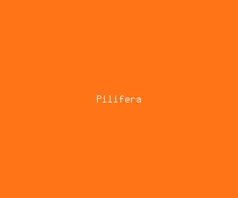 pilifera meaning, definitions, synonyms