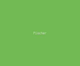 plocher meaning, definitions, synonyms