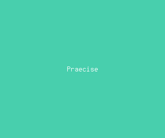 praecise meaning, definitions, synonyms