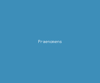 praenomens meaning, definitions, synonyms