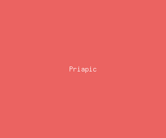 priapic meaning, definitions, synonyms