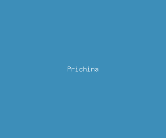 prichina meaning, definitions, synonyms