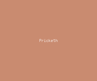 pricketh meaning, definitions, synonyms