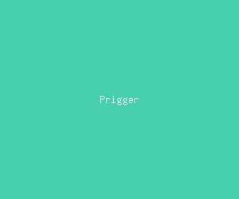 prigger meaning, definitions, synonyms