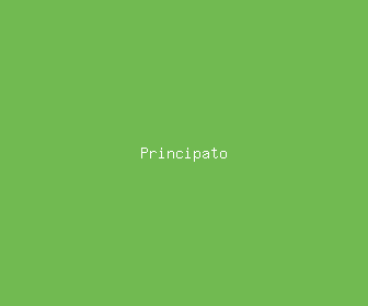 principato meaning, definitions, synonyms