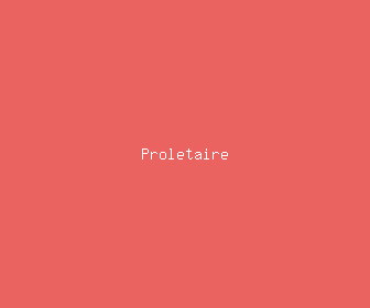 proletaire meaning, definitions, synonyms