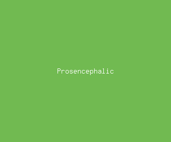 prosencephalic meaning, definitions, synonyms