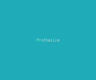 prothallia meaning, definitions, synonyms