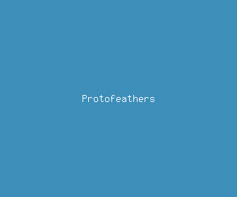 protofeathers meaning, definitions, synonyms