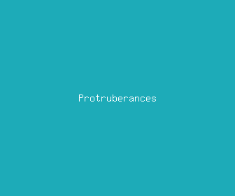 protruberances meaning, definitions, synonyms