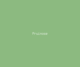 pruinose meaning, definitions, synonyms