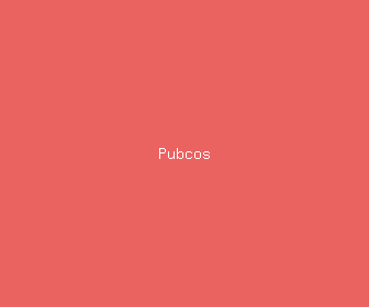 pubcos meaning, definitions, synonyms