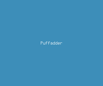 puffadder meaning, definitions, synonyms