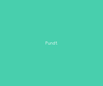 pundt meaning, definitions, synonyms