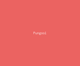 pungool meaning, definitions, synonyms